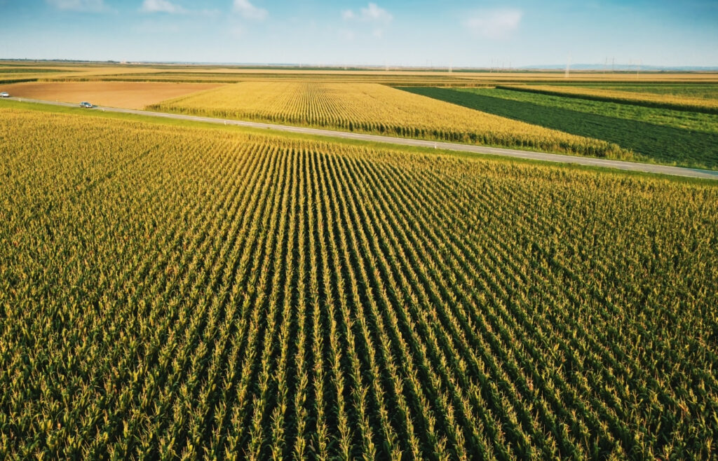 Aquisição de imóvel rural por estrangeiro